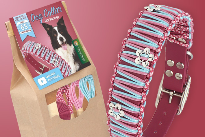 Collar para perro de BioThane